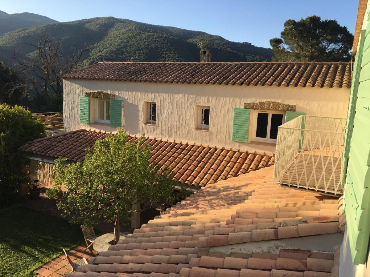 Villa Bonheur Vallespir Céret Exterior photo