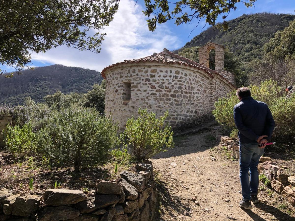Villa Bonheur Vallespir Céret Exterior photo