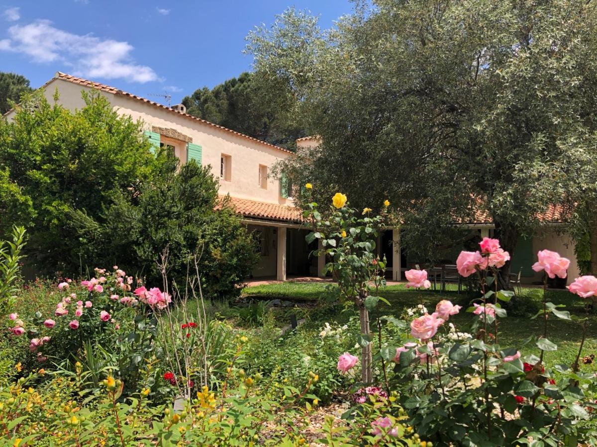 Villa Bonheur Vallespir Céret Exterior photo