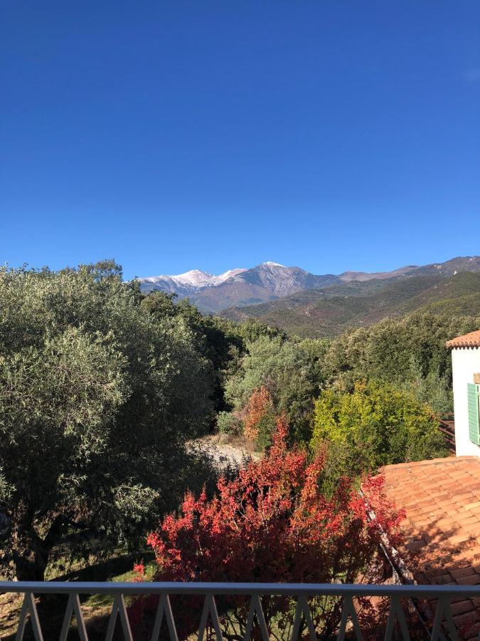 Villa Bonheur Vallespir Céret Exterior photo