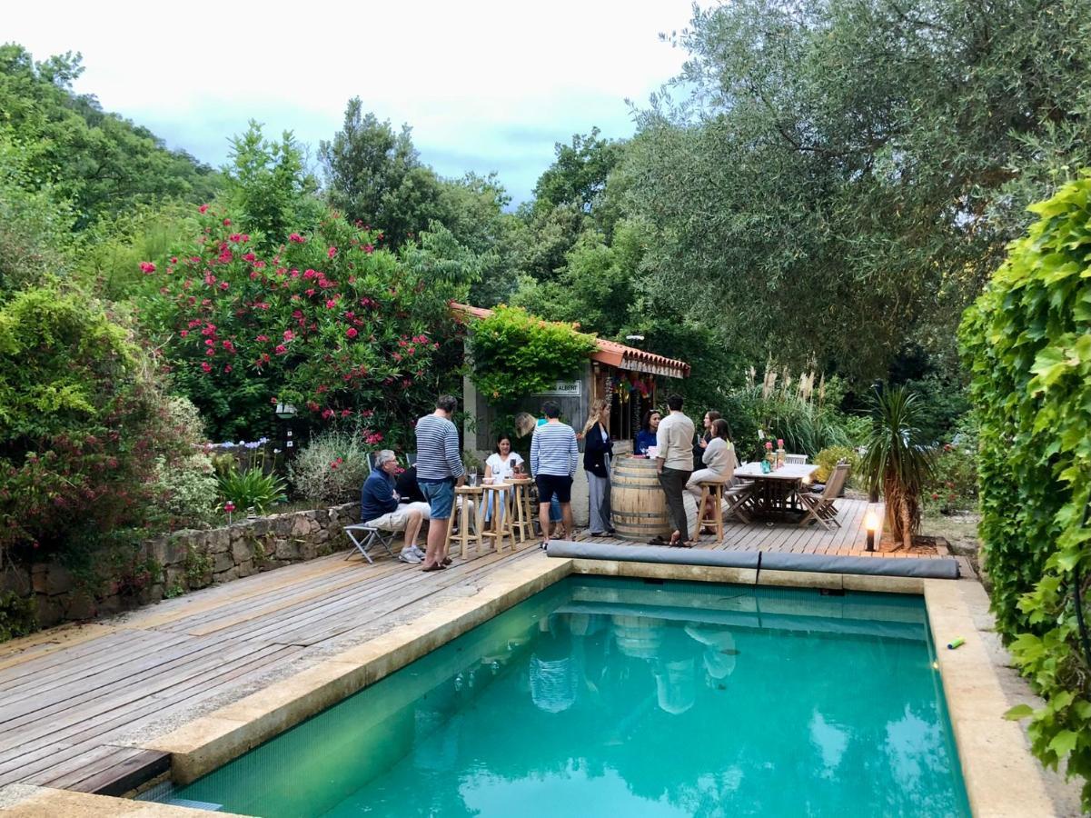 Villa Bonheur Vallespir Céret Exterior photo